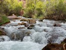 photo thumbnail #11