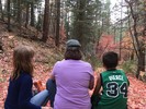 photo thumbnail #5