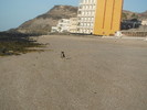 photo thumbnail #1