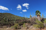 photo thumbnail #3