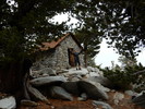 recent photo