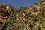 photo thumbnail #7