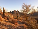 photo thumbnail #2