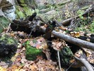 photo thumbnail #8