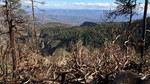 photo thumbnail #7