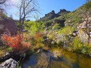 photo thumbnail #6