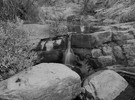 photo thumbnail #12