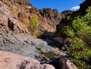 photo thumbnail #14