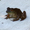 photo thumbnail #1