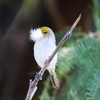 photo thumbnail #12
