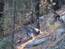 photo thumbnail #1
