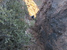 photo thumbnail #1