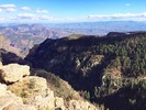 photo thumbnail #5