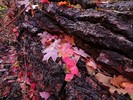 photo thumbnail #3