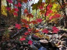 photo thumbnail #9