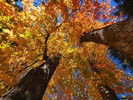 photo thumbnail #11