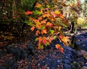 photo thumbnail #14