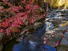 photo thumbnail #15