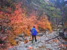 photo thumbnail #2
