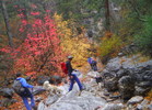 photo thumbnail #4