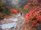 photo thumbnail #6