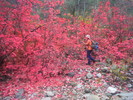 photo thumbnail #8