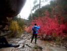 photo thumbnail #9