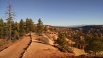 photo thumbnail #1