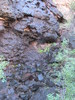 2016-11-06 :2: Dripping Springs from Peralta :: wallyfrack