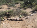 photo thumbnail #8