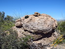 photo thumbnail #4