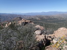 photo thumbnail #14