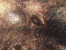 photo thumbnail #12