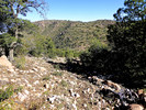 photo thumbnail #10