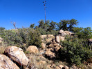 photo thumbnail #11