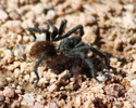 photo thumbnail #2
