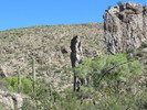 photo thumbnail #5