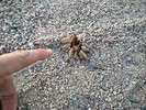 photo thumbnail #2