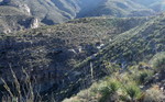 photo thumbnail #8