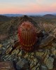 photo thumbnail #2
