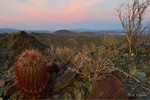 photo thumbnail #3