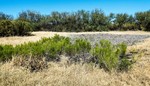 photo thumbnail #15