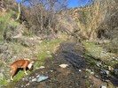 photo thumbnail #4