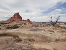 photo thumbnail #2