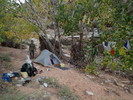 photo thumbnail #15