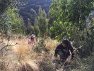 photo thumbnail #3