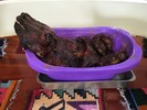 photo thumbnail #5