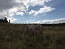 photo thumbnail #11