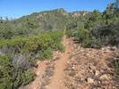 photo thumbnail #9