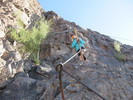 photo thumbnail #5